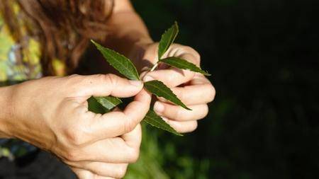 Sustainability and Climate Reporting: the Ultimate Guide