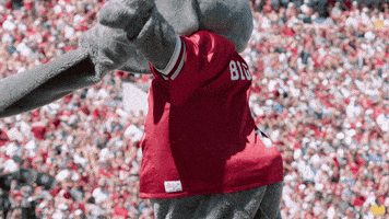 Alabama Football Ua GIF by The University of Alabama