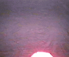 Wave Hello GIF by PIZZA PALS PLAYZONE