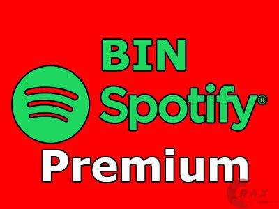 Bin Spotify