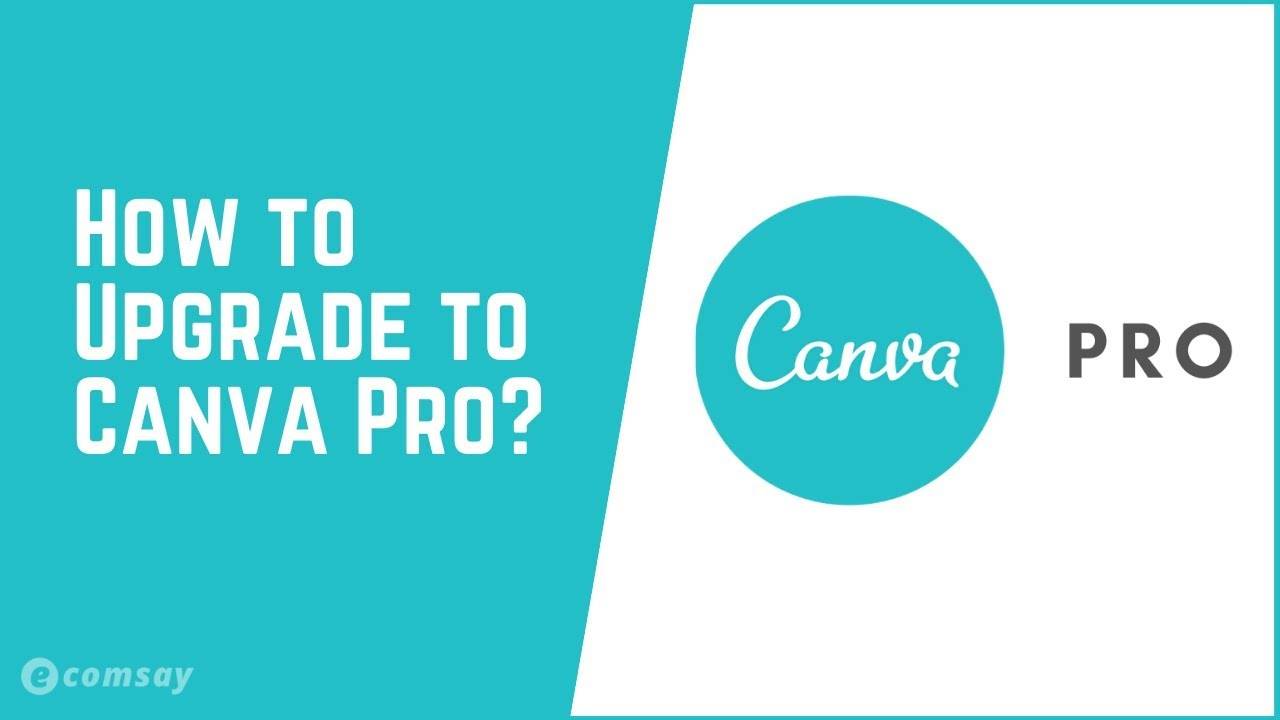 Canva 2