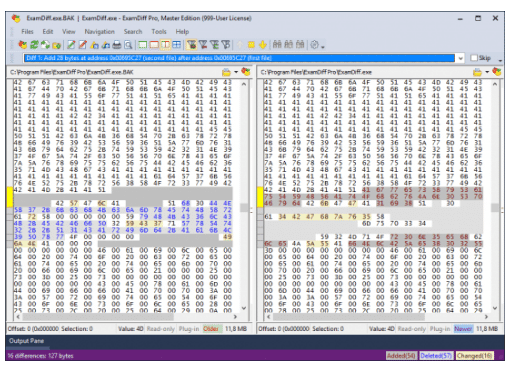 ExamDiff Pro Master Portable