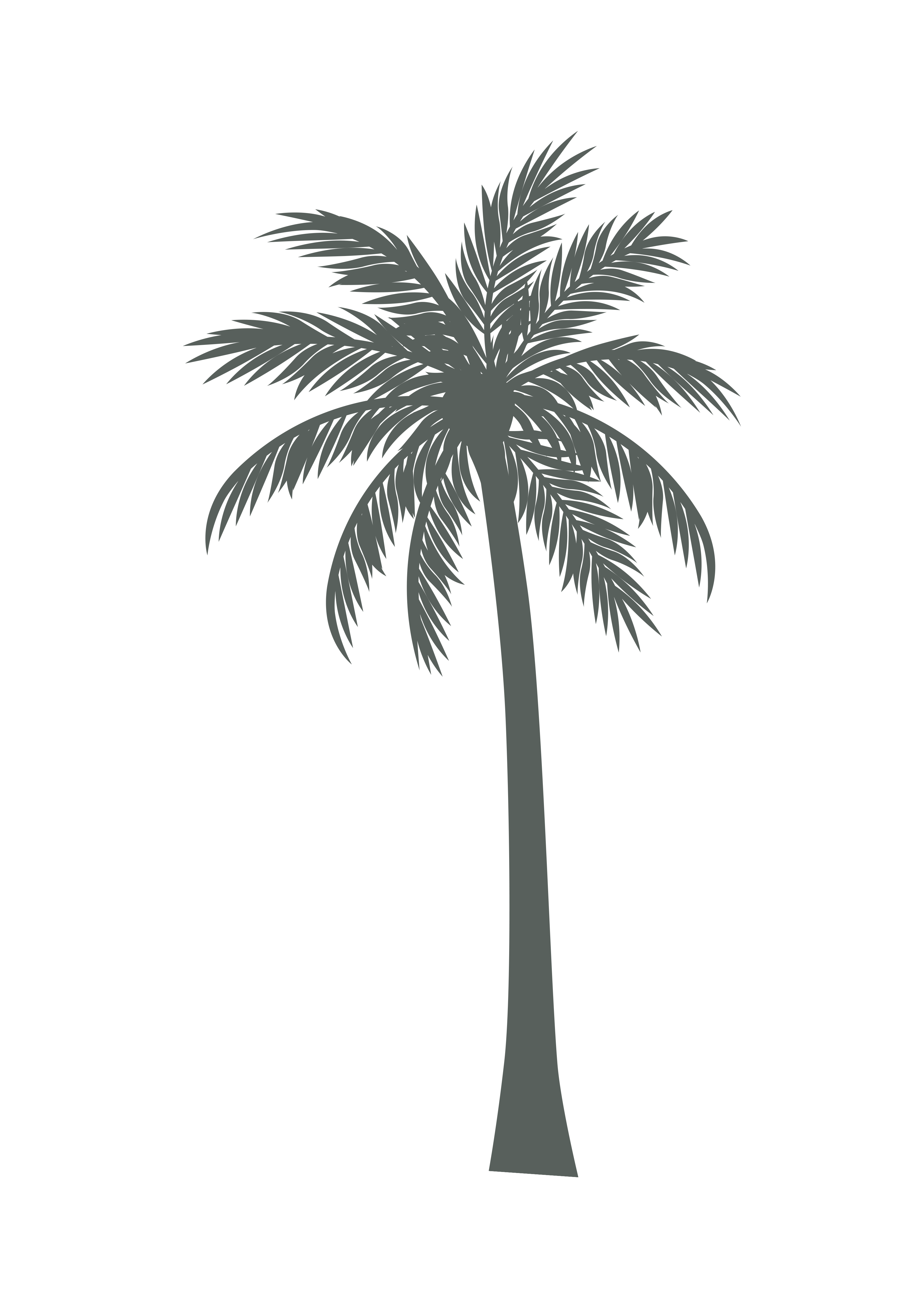 Palm 1