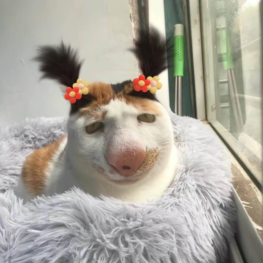 Received 253356957079785