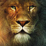 Aslan99