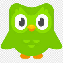 🔥 Duolingo FC Config 🔥