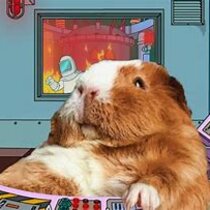 IPVANISH VPN API CONFIG