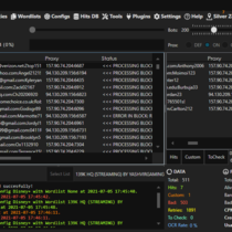 Netnut config silverbullet