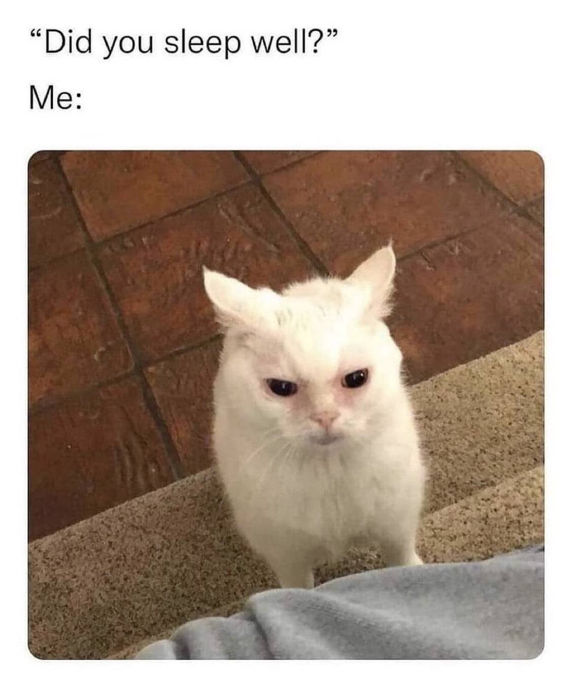 Do I look like I did?