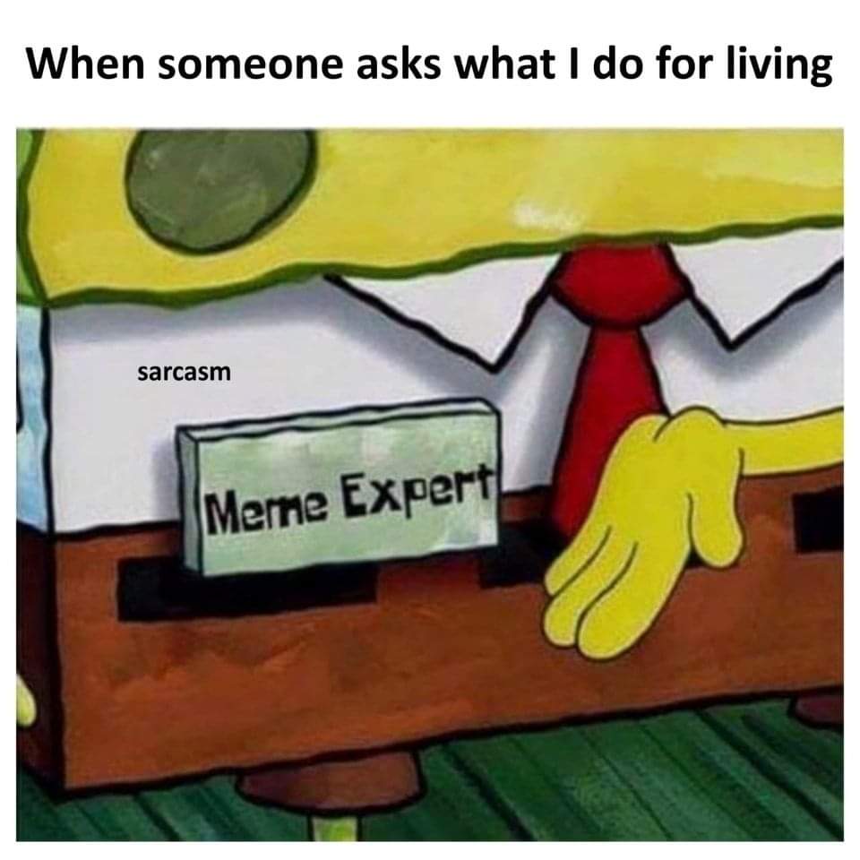 Every memer😂😂