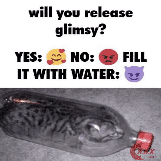 glimsy