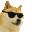 cooldoge.gif