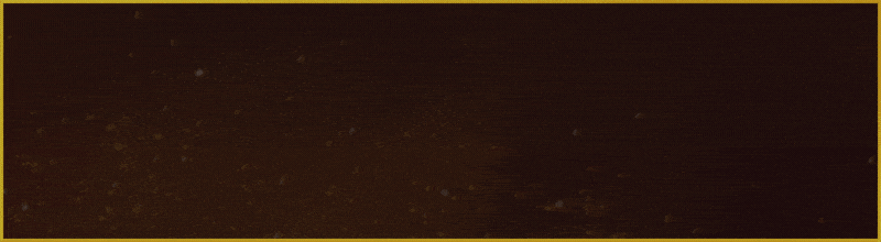 [Image: 8YPKX3e.gif]